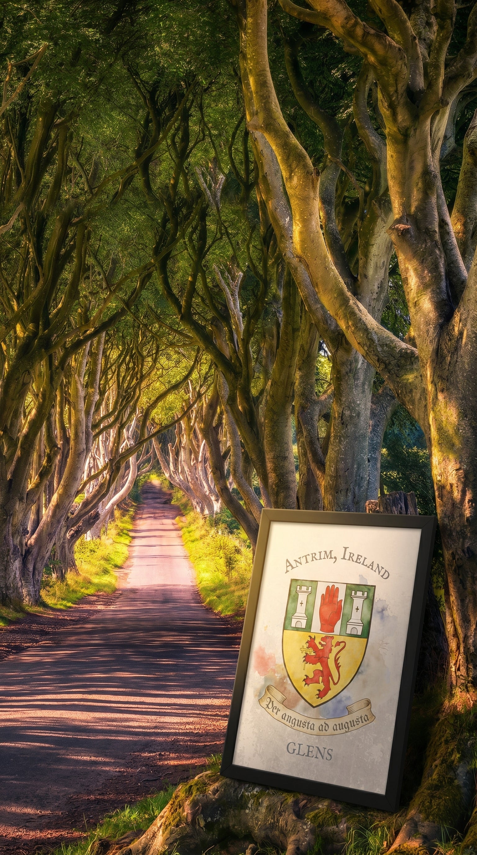 The Antrim Collection