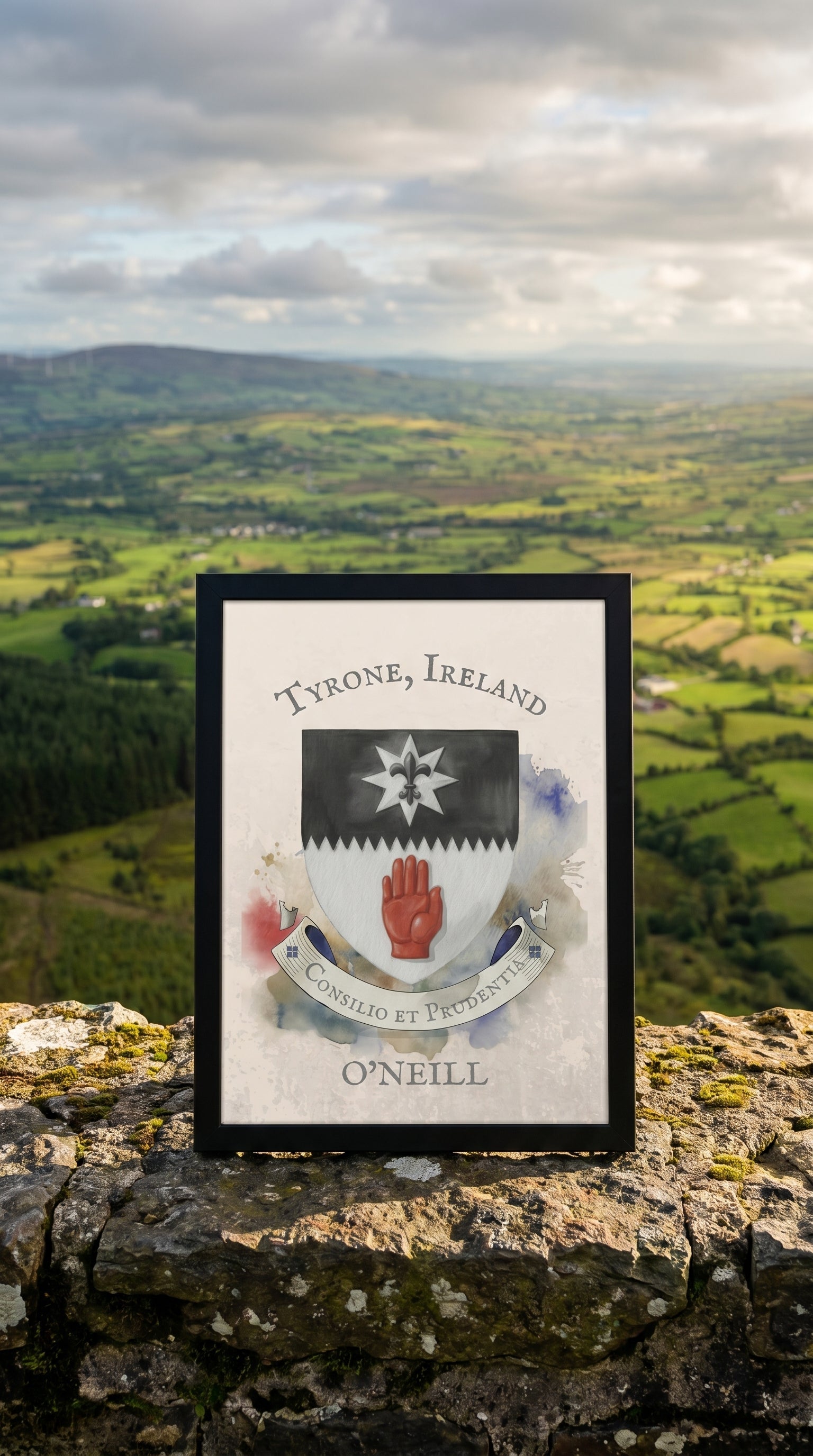 The Tyrone Collection