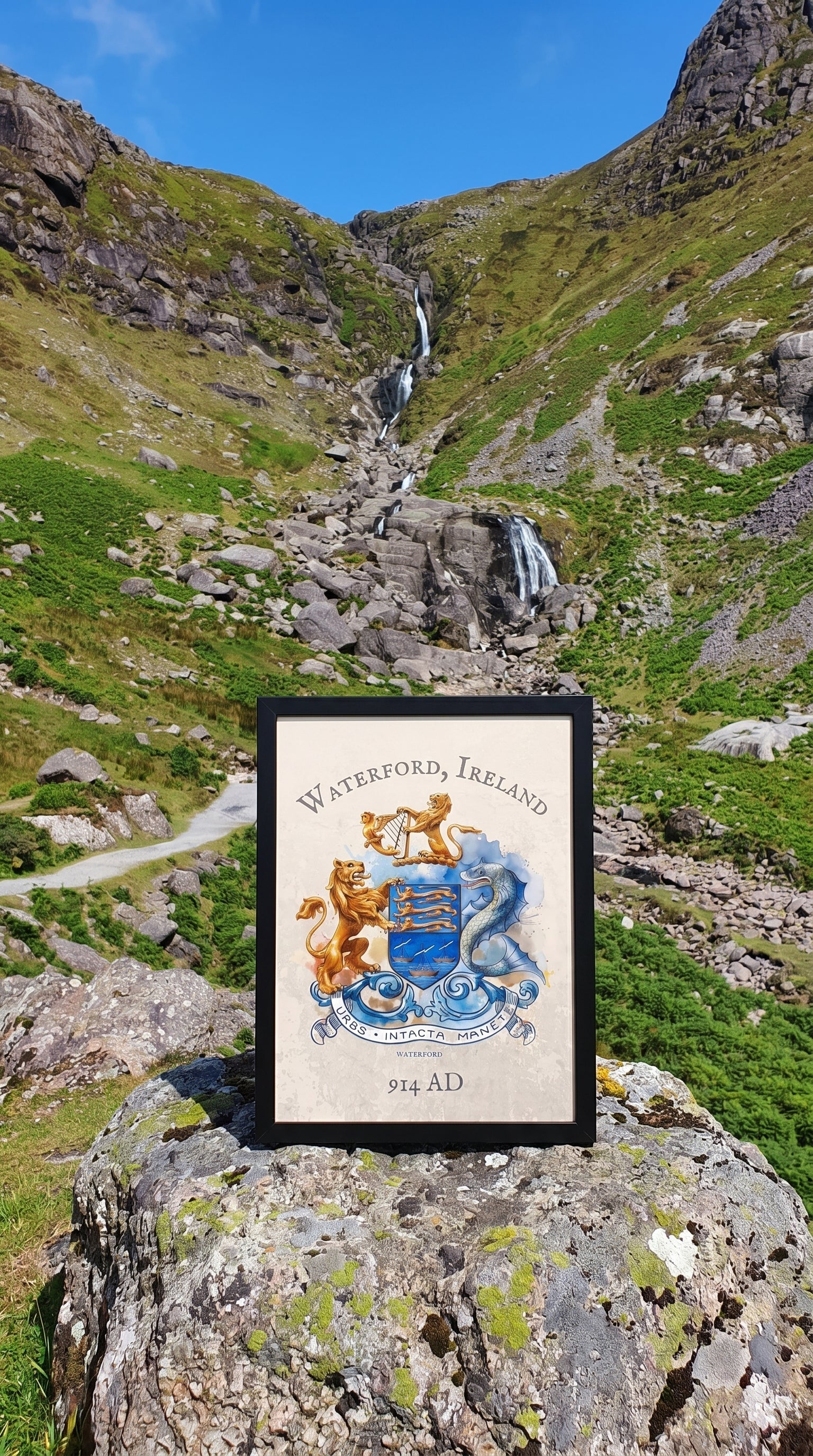 The Waterford Collection