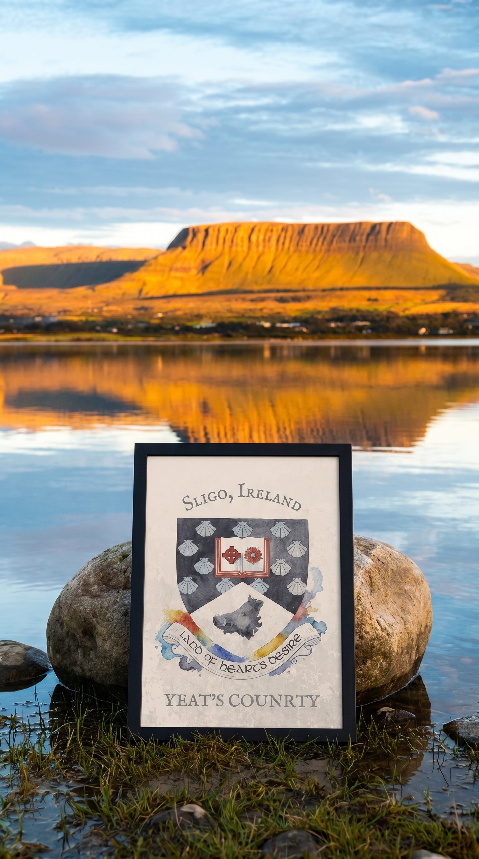 The Sligo Collection