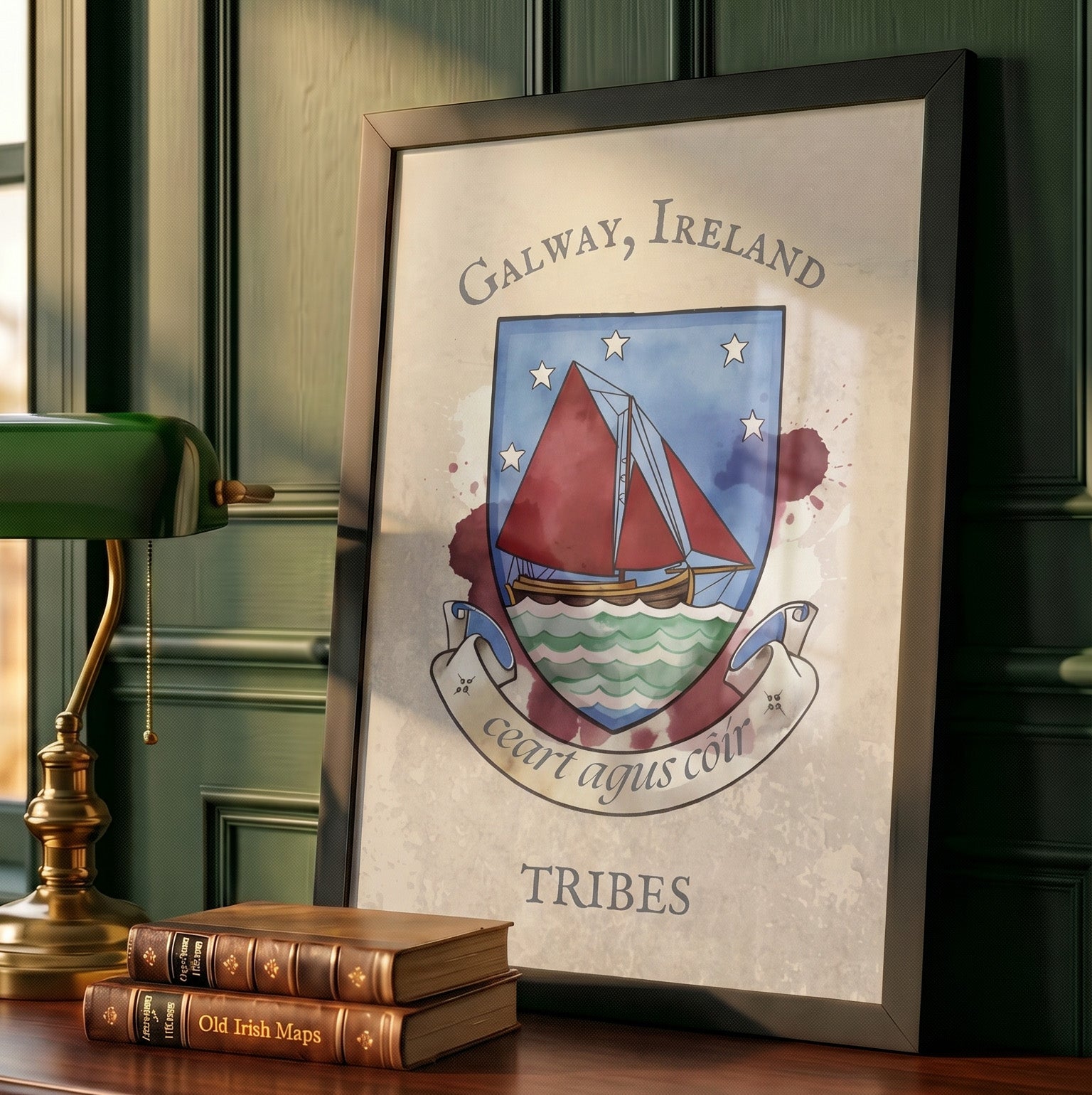 Galway Ireland County Crest