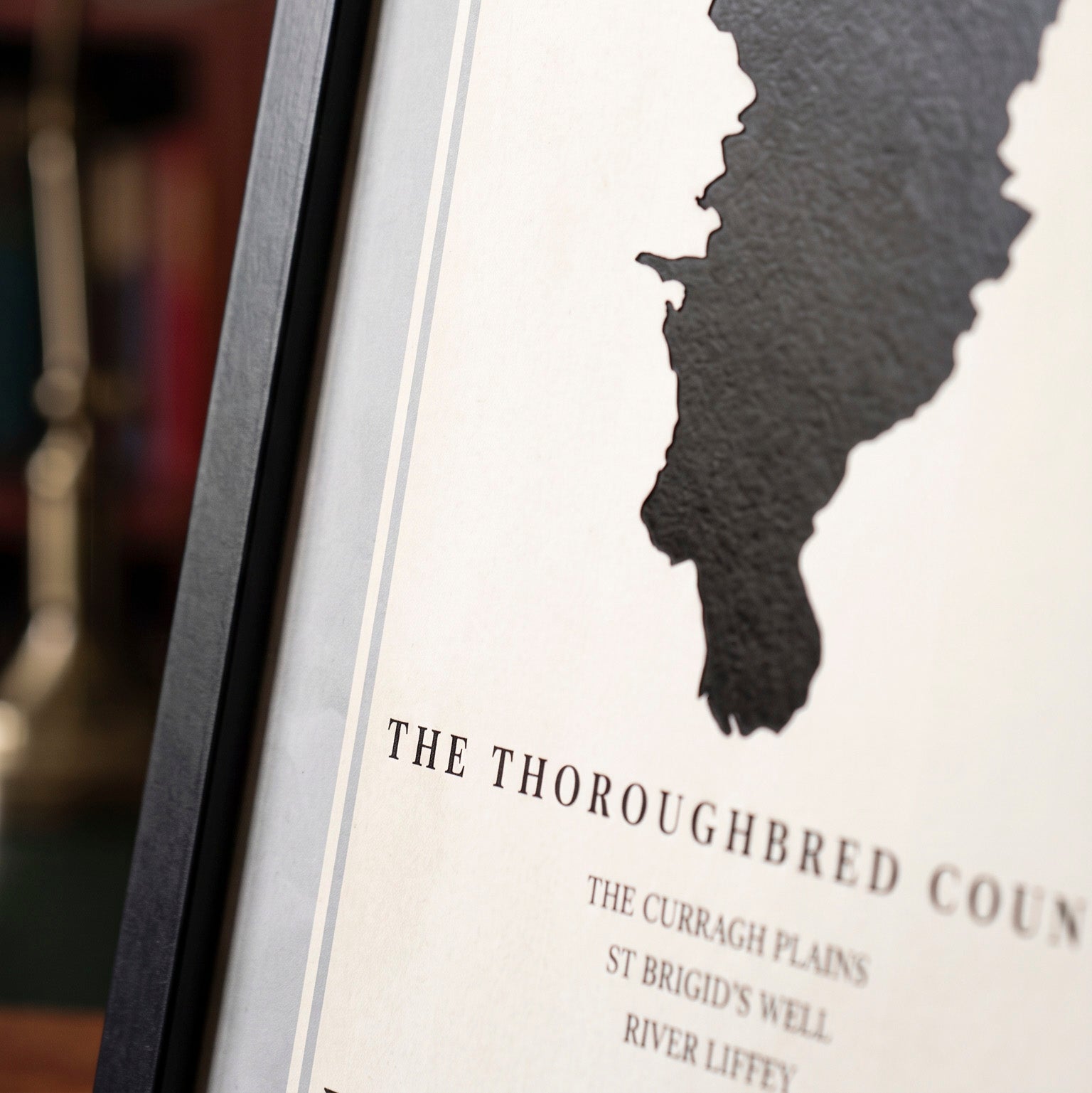 Kildare County Colors Print  (The Thoroughbred County)