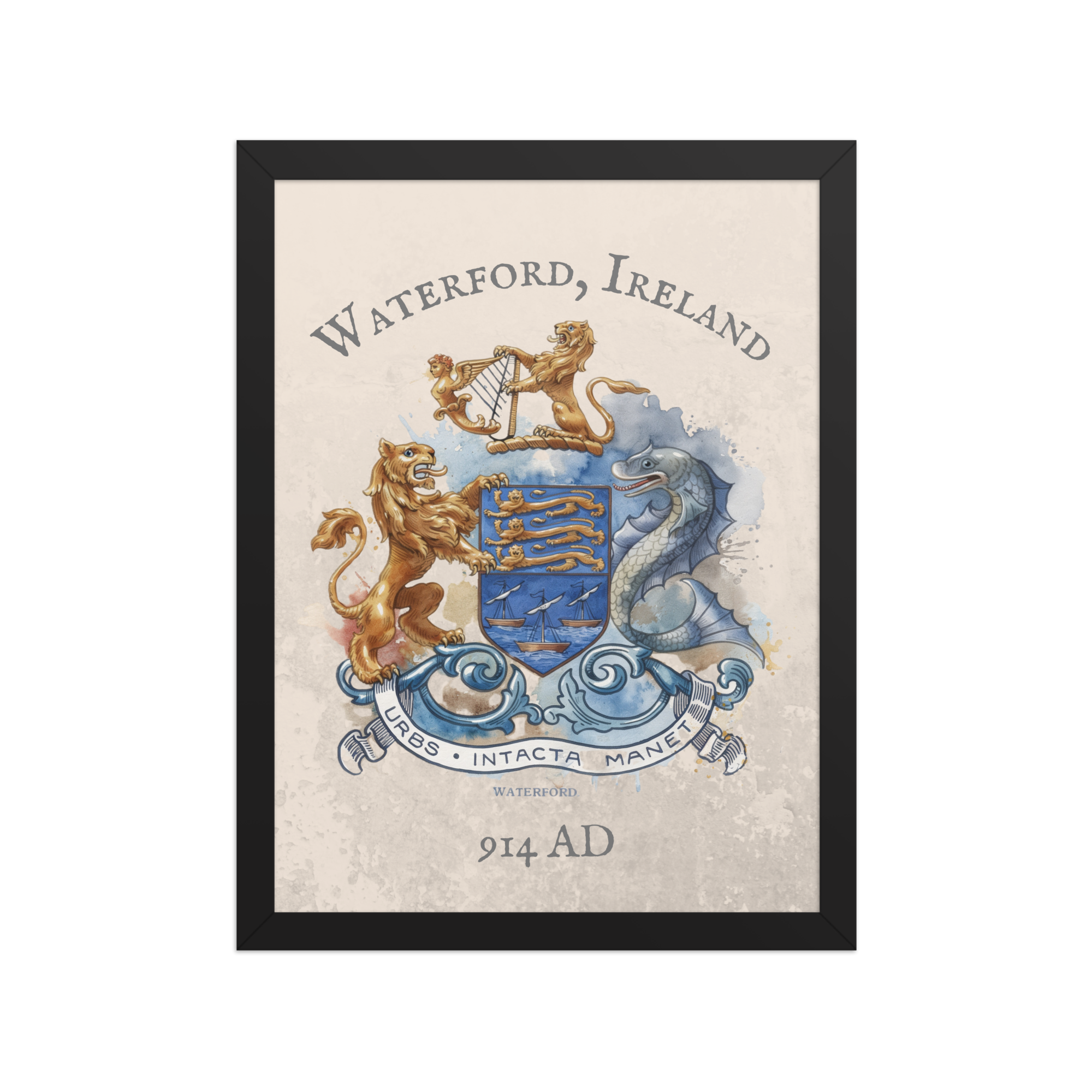 Waterford Ireland Crest Print