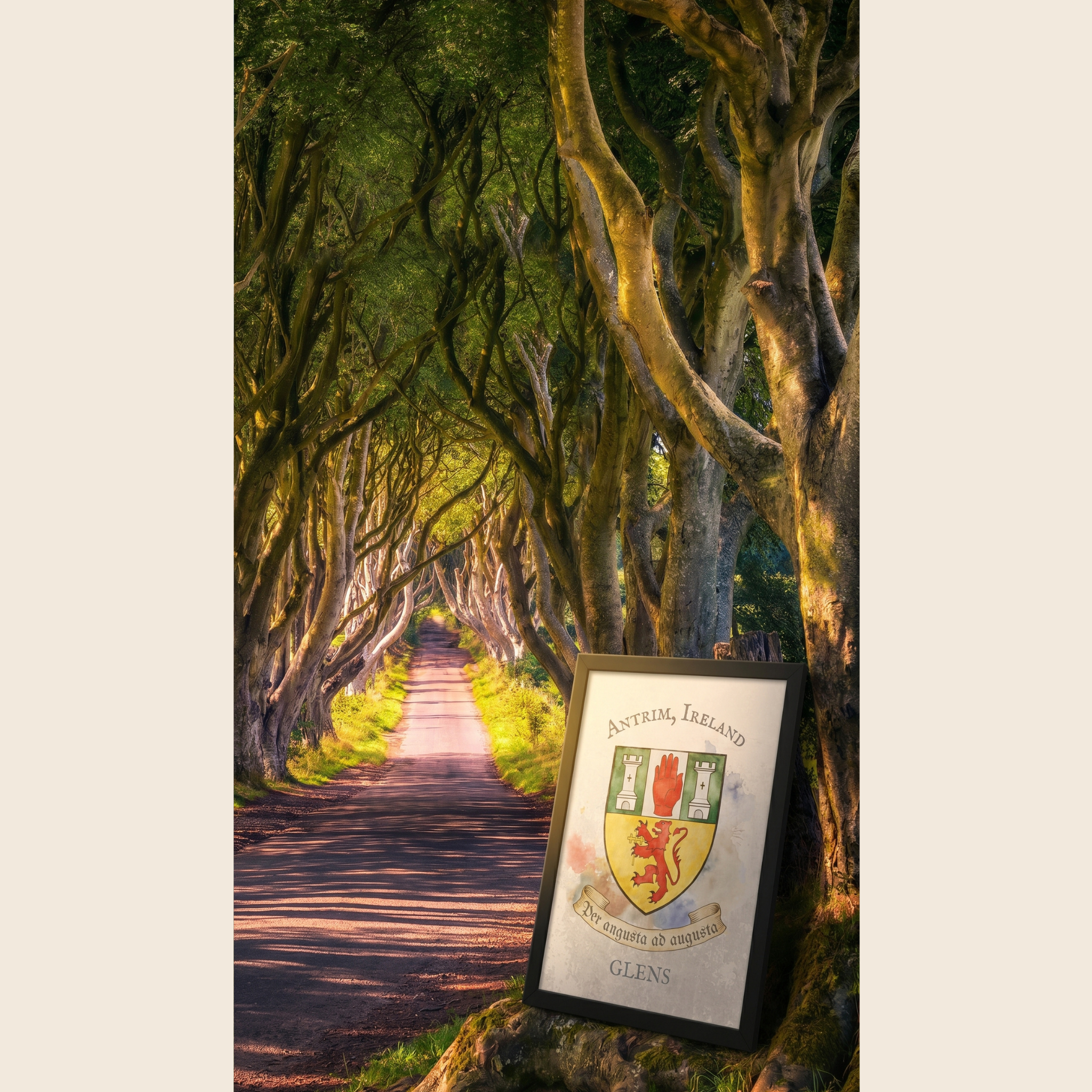 Antrim Ireland County Crest