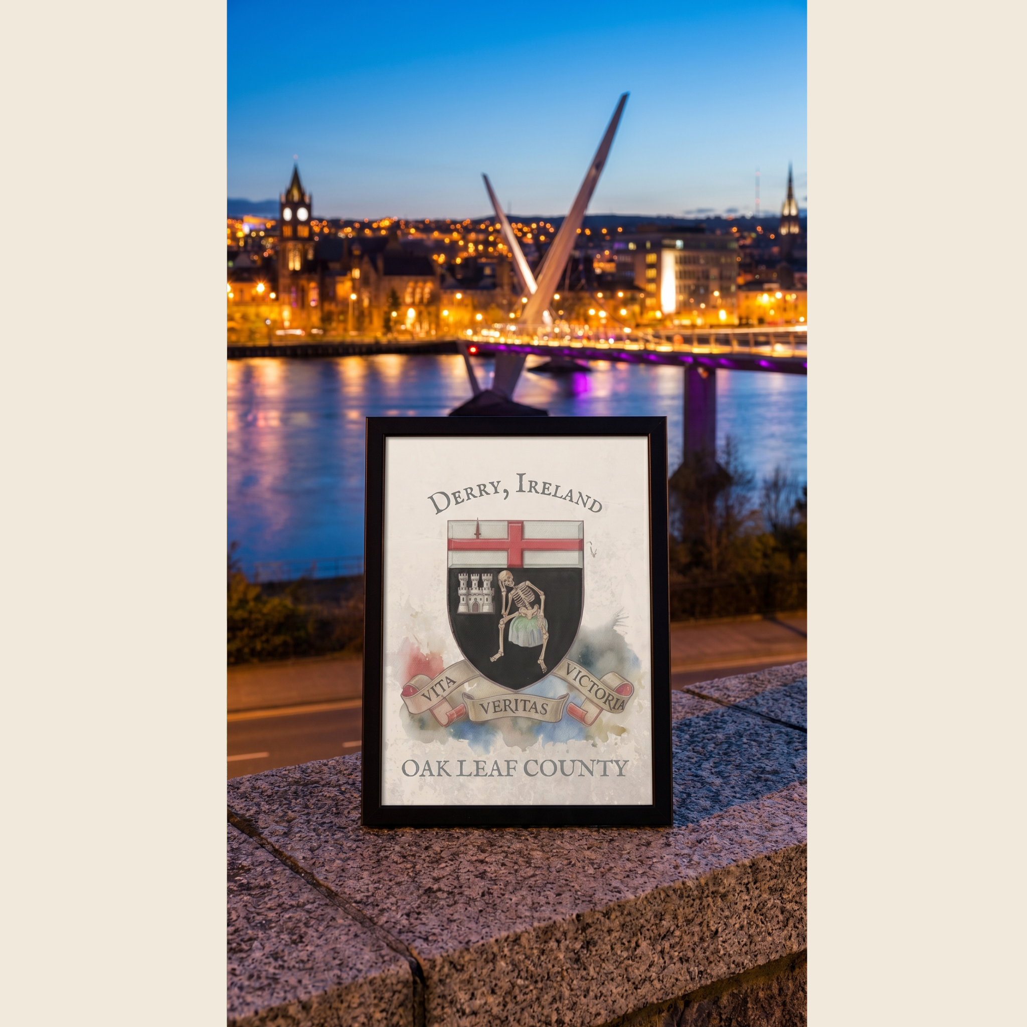 Derry Ireland County Crest