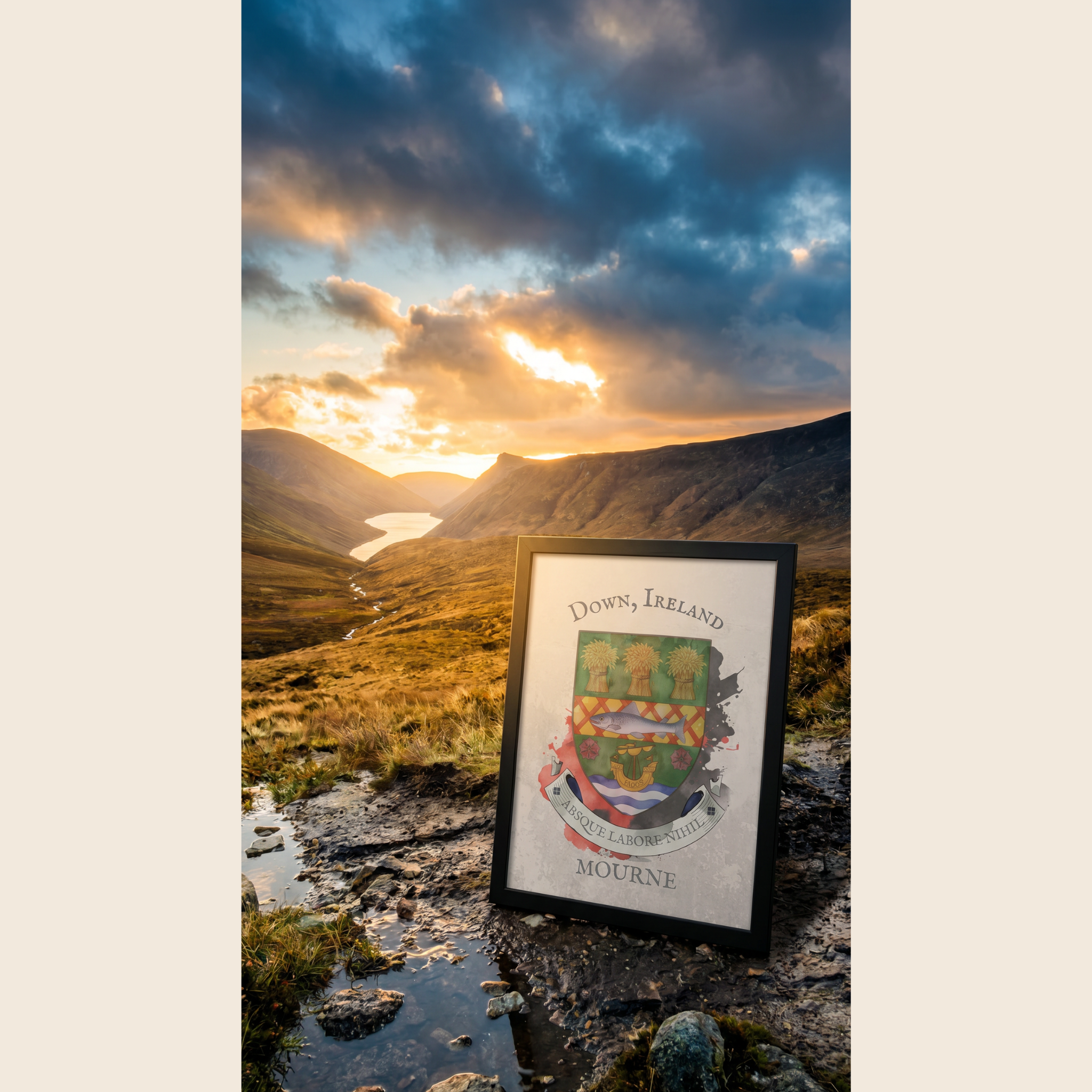 Down Ireland County Crest