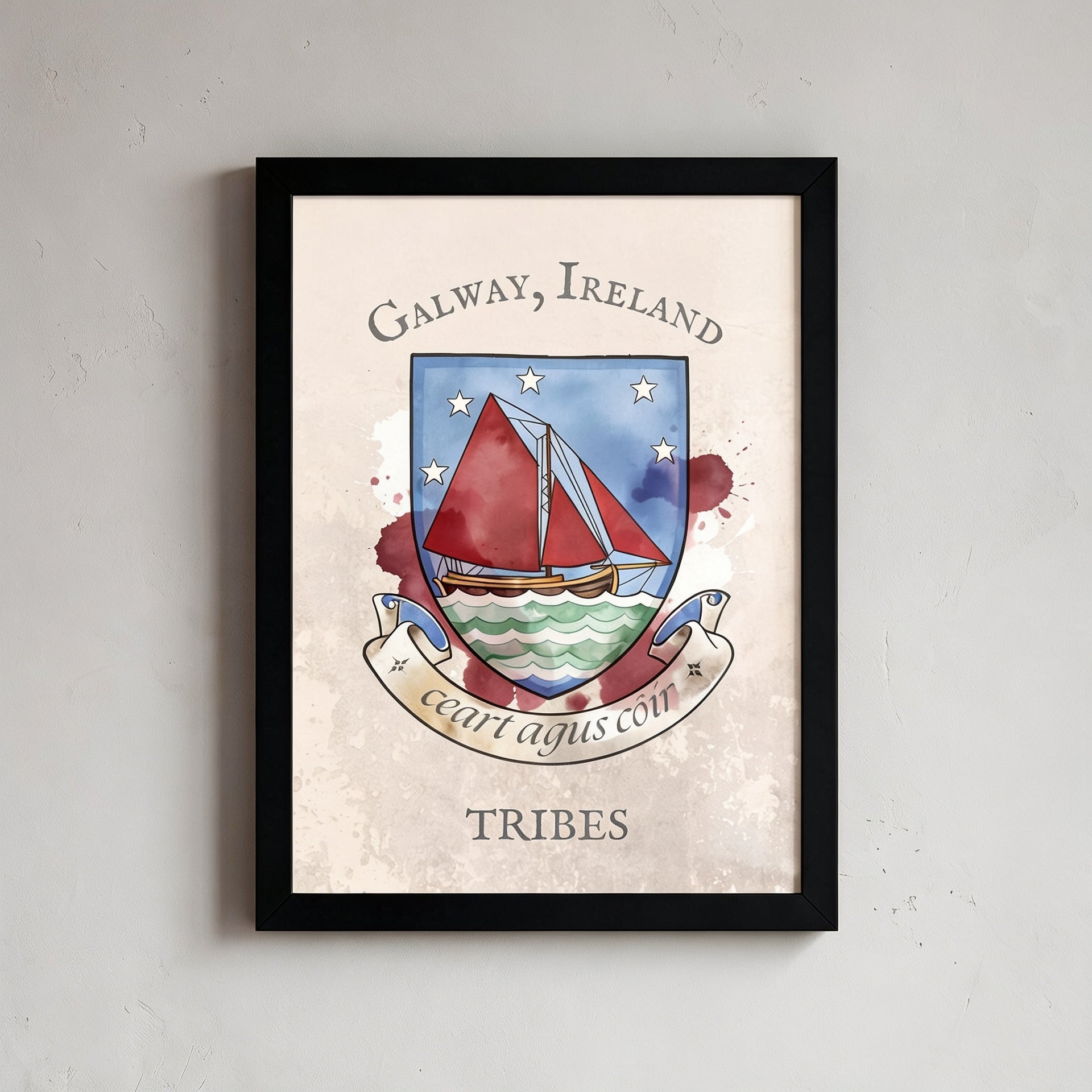 Galway Ireland County Crest