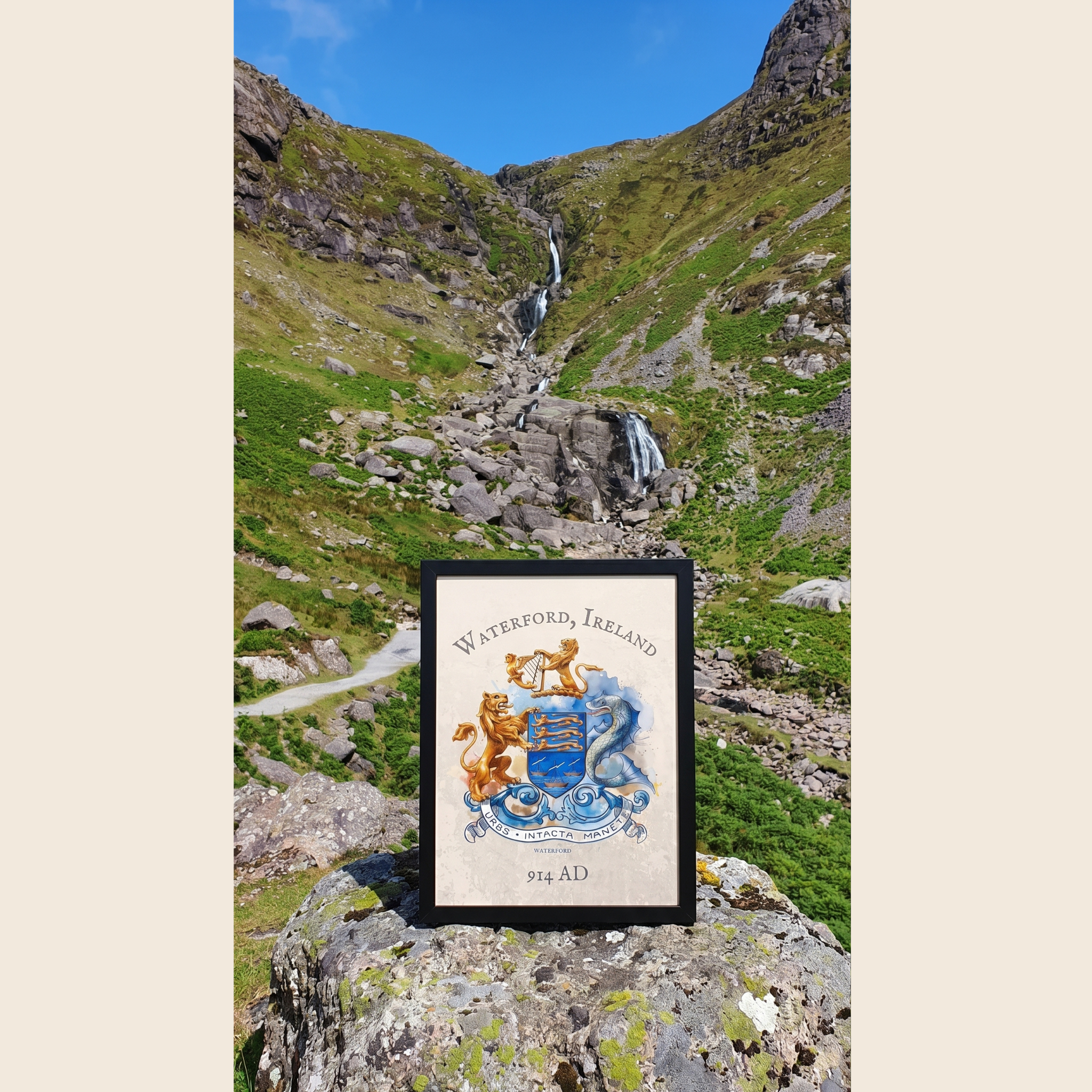 Waterford Ireland Crest Print